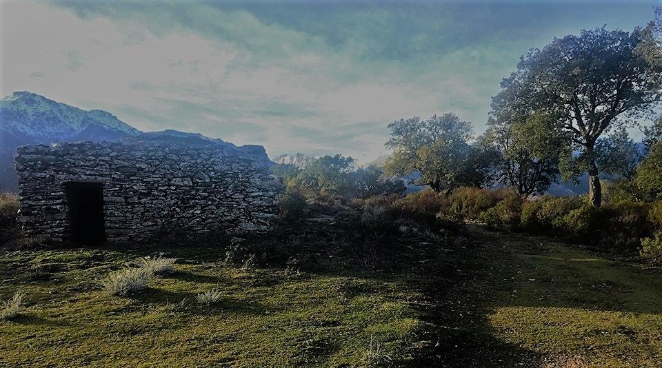 Auberge Casa Mathea Poggio-di-Venaco 외부 사진